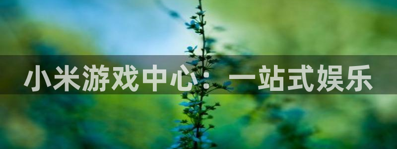 沐鸣2登录优先渠道：小米游戏中心：一站式娱乐
