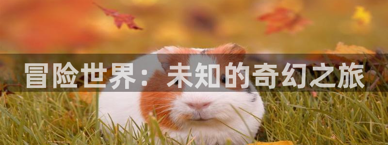 沐鸣2主管：冒险世界：未知的奇幻之旅
