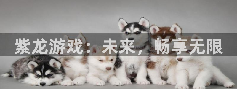 沐鸣2登录测速：紫龙游戏：未来，畅享无限