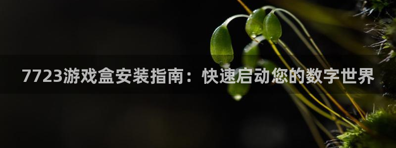 沐鸣2代理官网：7723游戏盒安装指南：快速启动您的数字世界