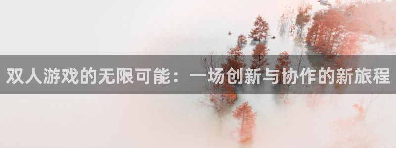 沐鸣2注册登录服务中心：双人游戏的无限可能：一场创新与协作的
