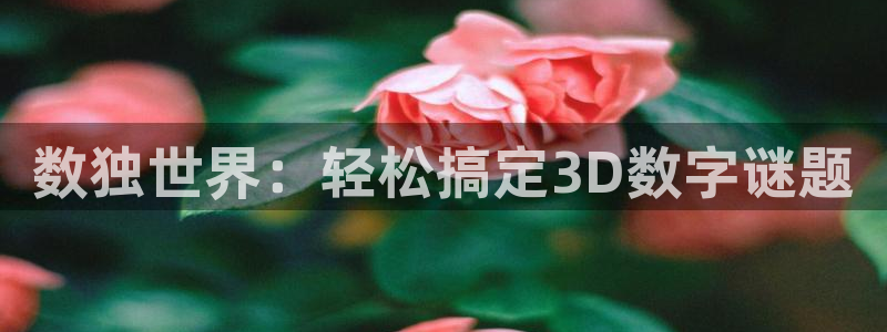 沐鸣2网站：数独世界：轻松搞定3D数字谜题